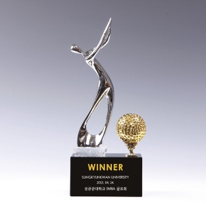 금속크리스탈트로피HS605