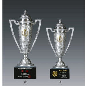 주석트로피hs309