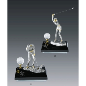 주석트로피hs402