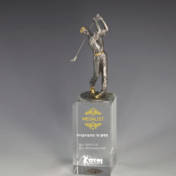 주석트로피hs406