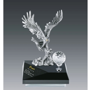 주석트로피hs407