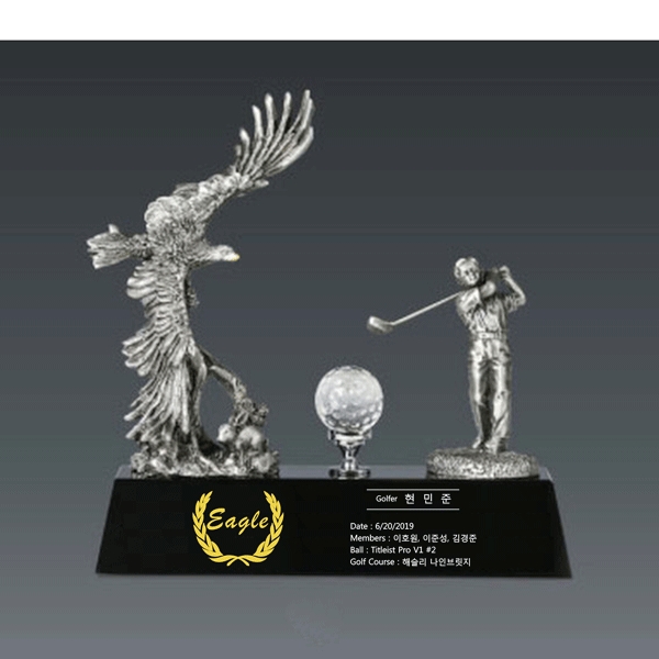 주석트로피hs511