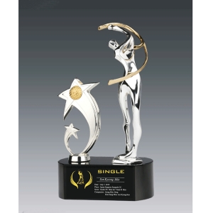 크롬블랙크리스탈트로피hs519