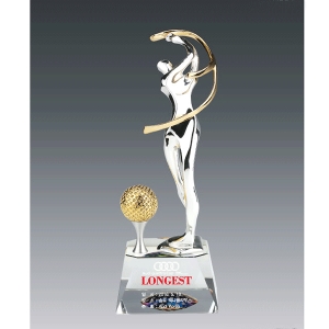 크롬&크리스탈트로피hs520