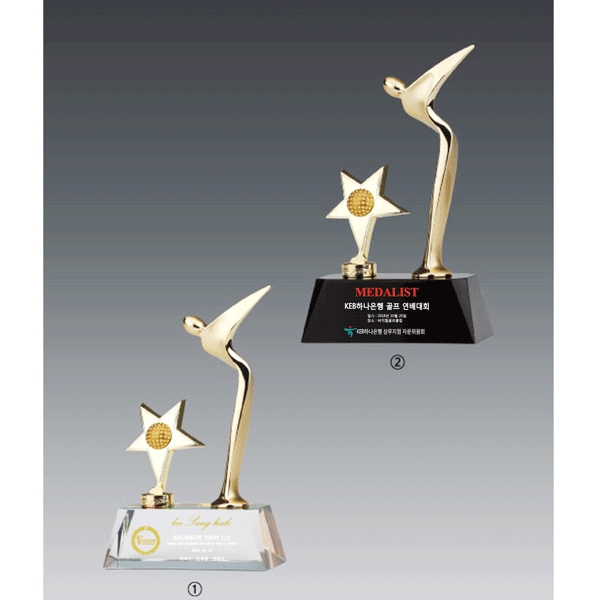 메탈크리스탈트로피hs534