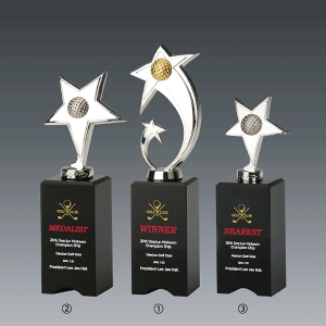 크롬블랙크리스탈트로피hs542