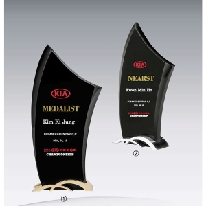 크롬블랙크리스탈트로피hs542