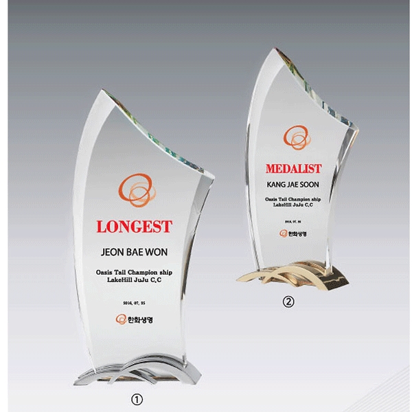 크롬크리스탈트로피hs543