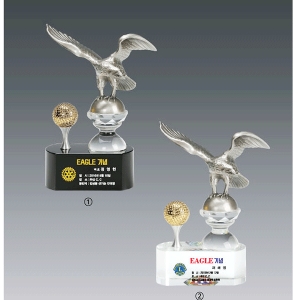 주석트로피hs556