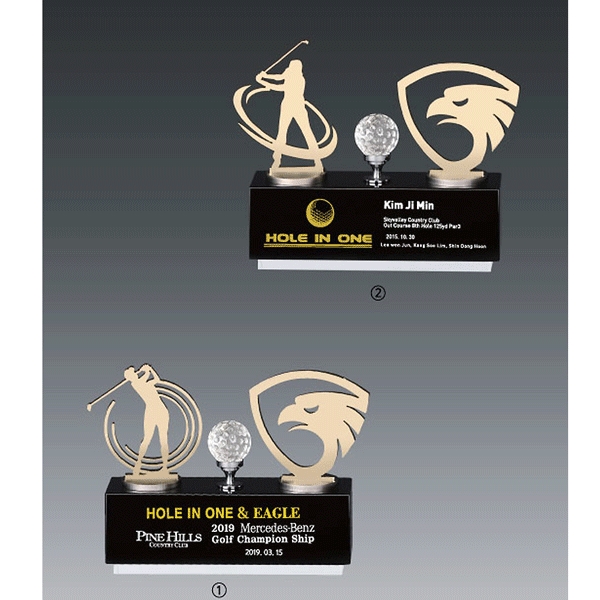 메탈크리스탈트로피hs563