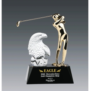 메탈크리스탈트로피hs566