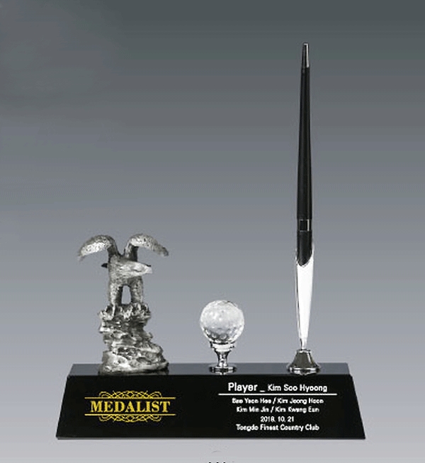 주석트로피hs569