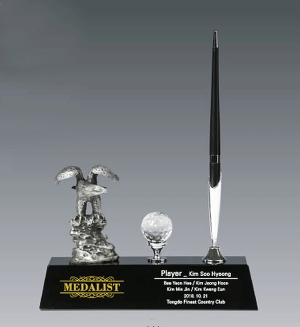 주석트로피hs569