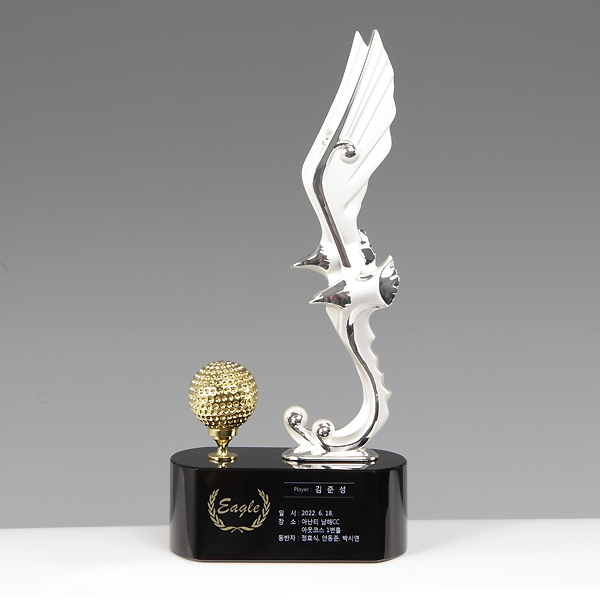 크롬블랙크리스탈트로피hs562