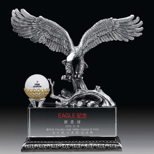 주석트로피hs409