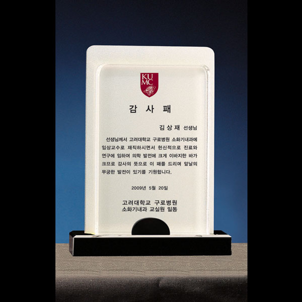 크리스탈상패B120-4