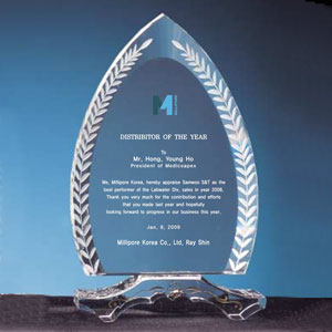 크리스탈상패ss218