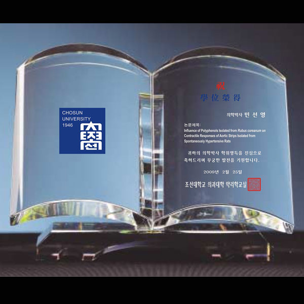 크리스탈상패ss207