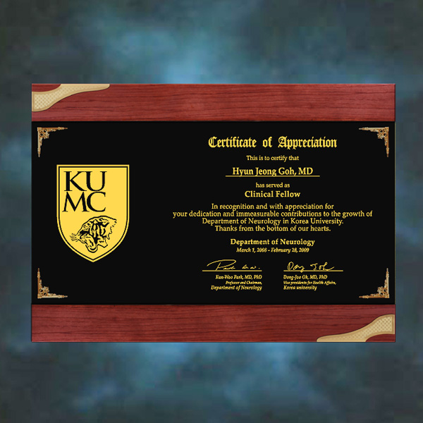 메탈우드상패CRT-307