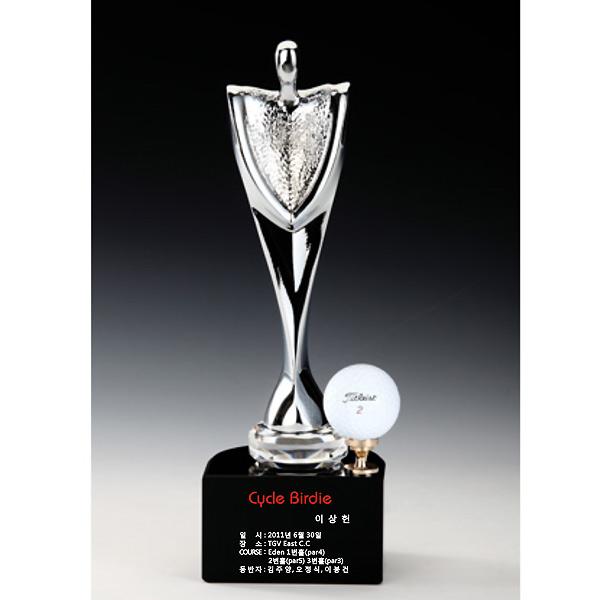 크롬골프트로피AT029