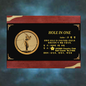 메탈우드홀인원패CRT303